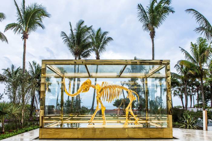 mammoth skeleton in large glass case