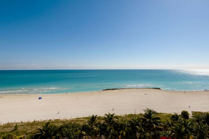 ocean on a sunny day