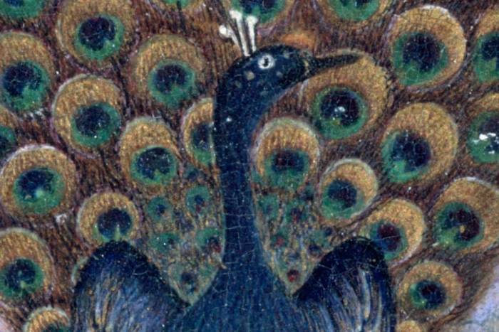 A painting of peacock 