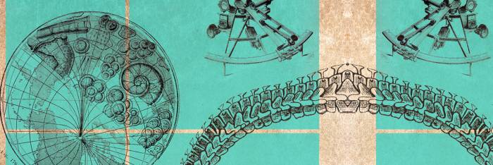 A collage of a protractor, globe, and a spine