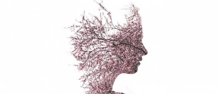 Woman's face made from cherry blossoms 