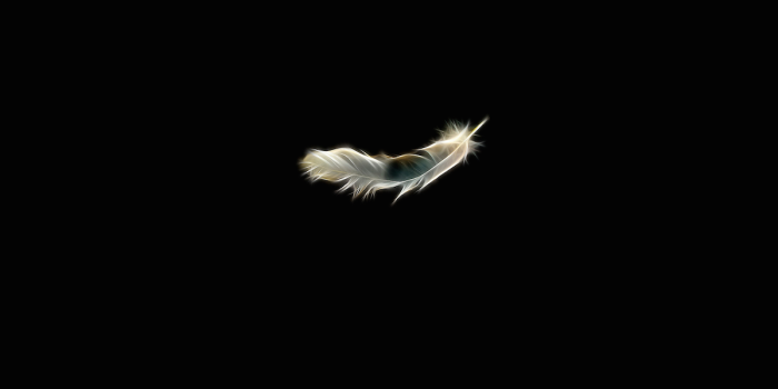 A white feather falling in a black abyss 
