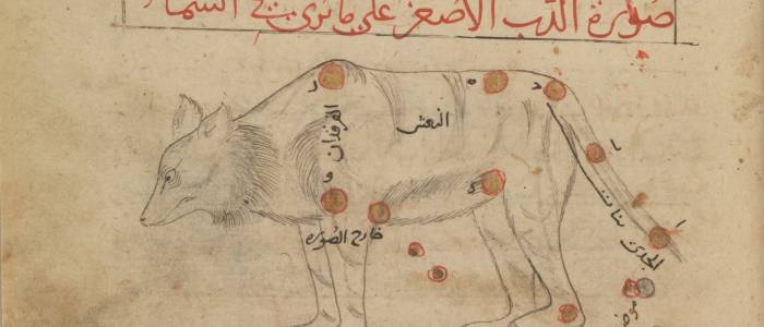 A drawing of a constellation of a with Arabic writing