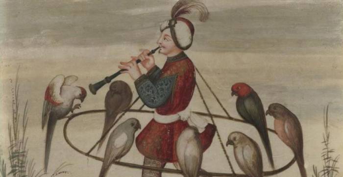 Drawing of musician surrounded by birds 