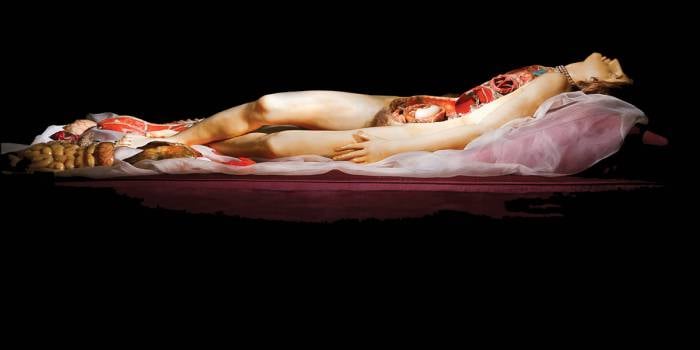 Anatomical model of woman lying down with sections fo body removed.
