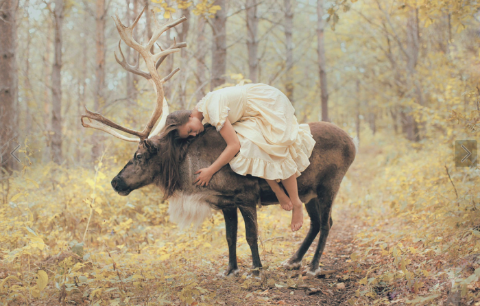 Woman in white dress on back of a reindeer in forest.