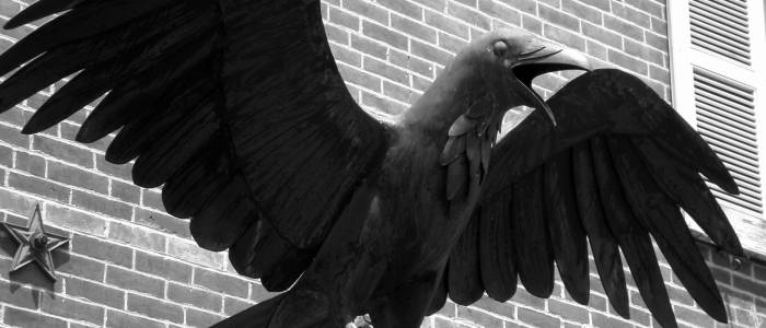 Raven statue in black and white 