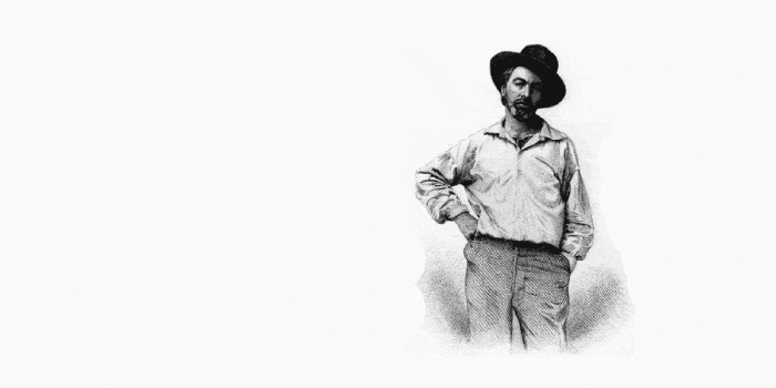 drawing of Walt Whitman standing