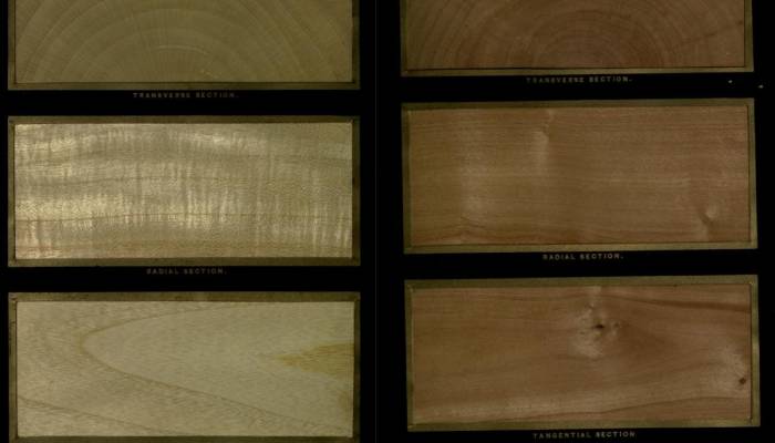 panel showing different types of wood grain