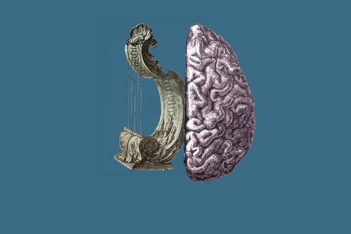 brain and harp