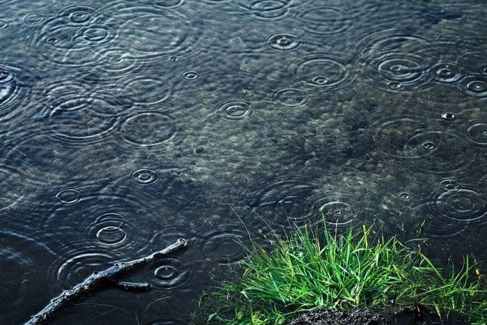 drops of rain in a pond