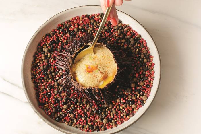 Pao Sea Urchin Dish