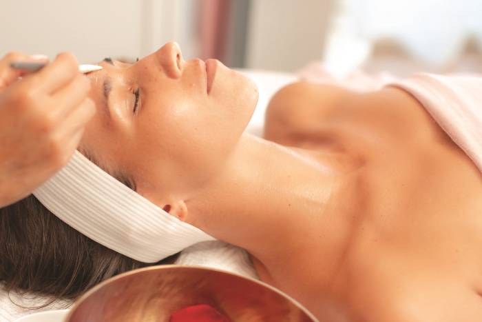 TIERRA SANTA FACIALS