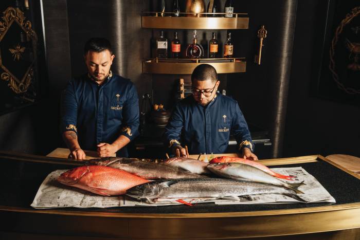 Dive Into the Faena Journal | Faena