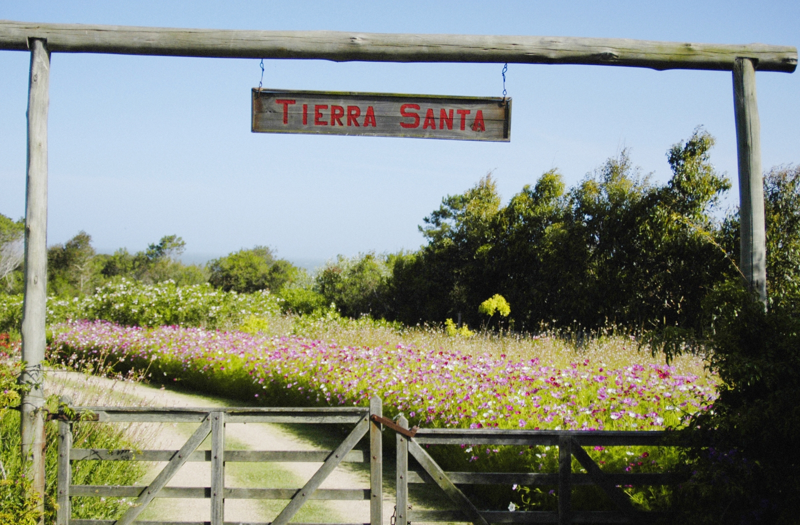 Tierra Santa _ alan_ Uruguay