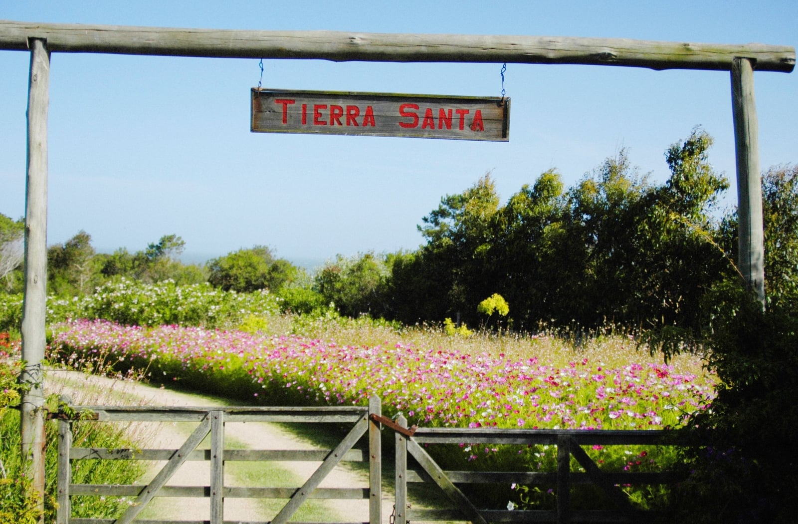 Tierra Santa _ alan_ Uruguay