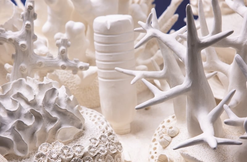 Beatriz Chachamovits Coral Reef Sculpture