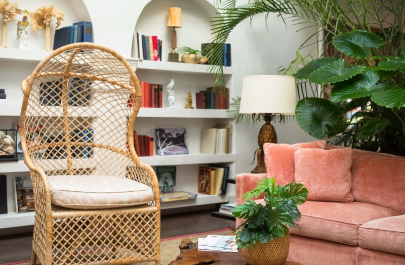 wicker chair and pink couch sit in front of with book shelves and plants
