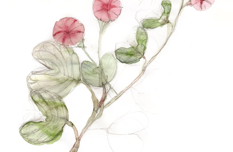 Faena Prize for the Arts Winner