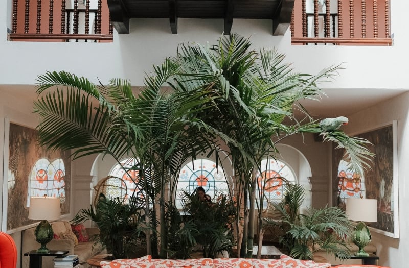 Casa Faena Atrium Couch