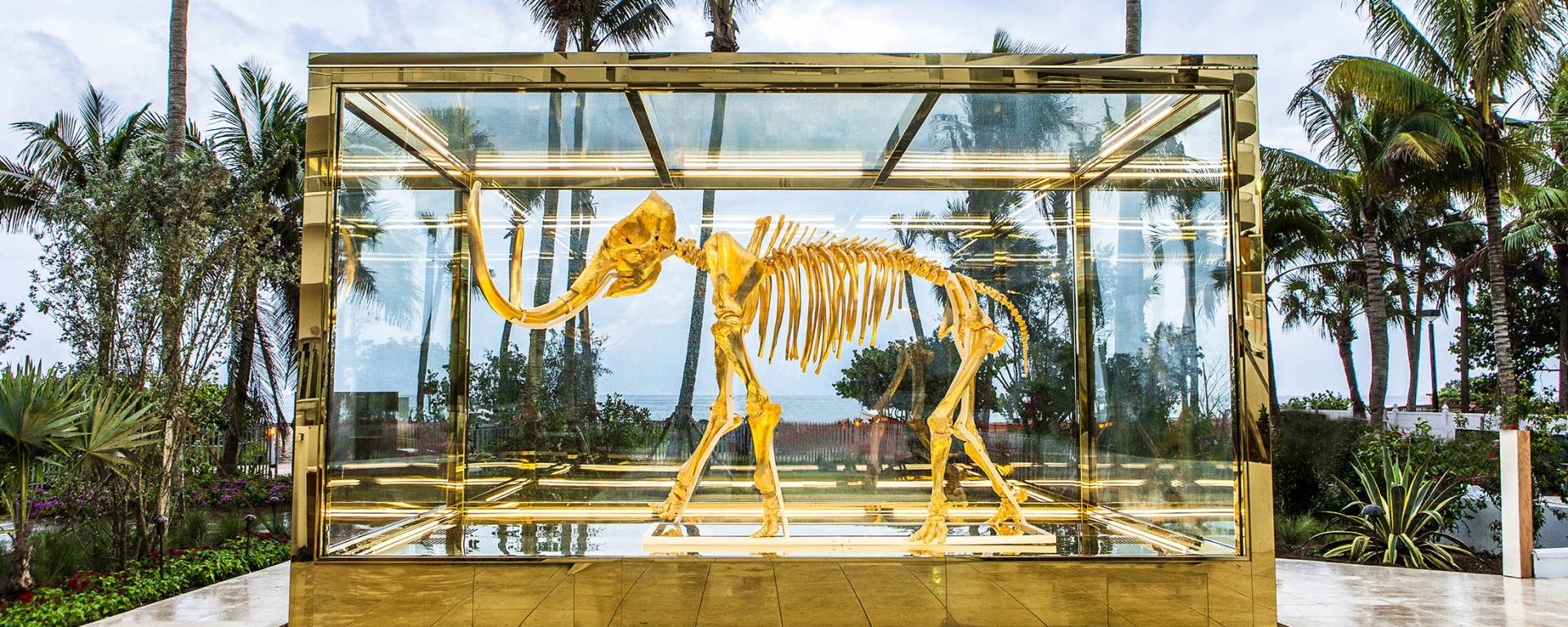 mammoth skeleton in large glass case