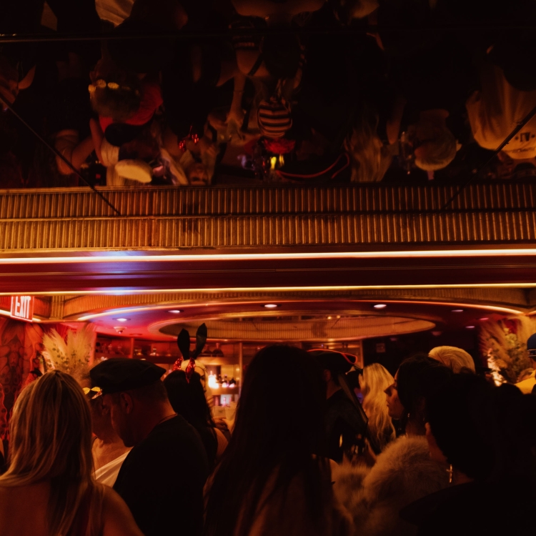 crowd of people gathering in halloween costumes