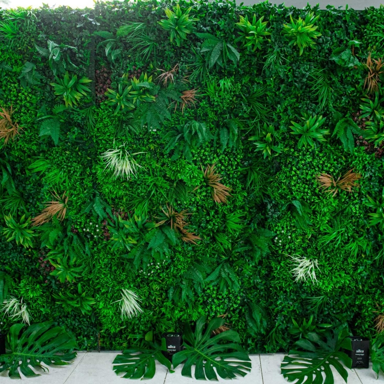 Wall of greenery