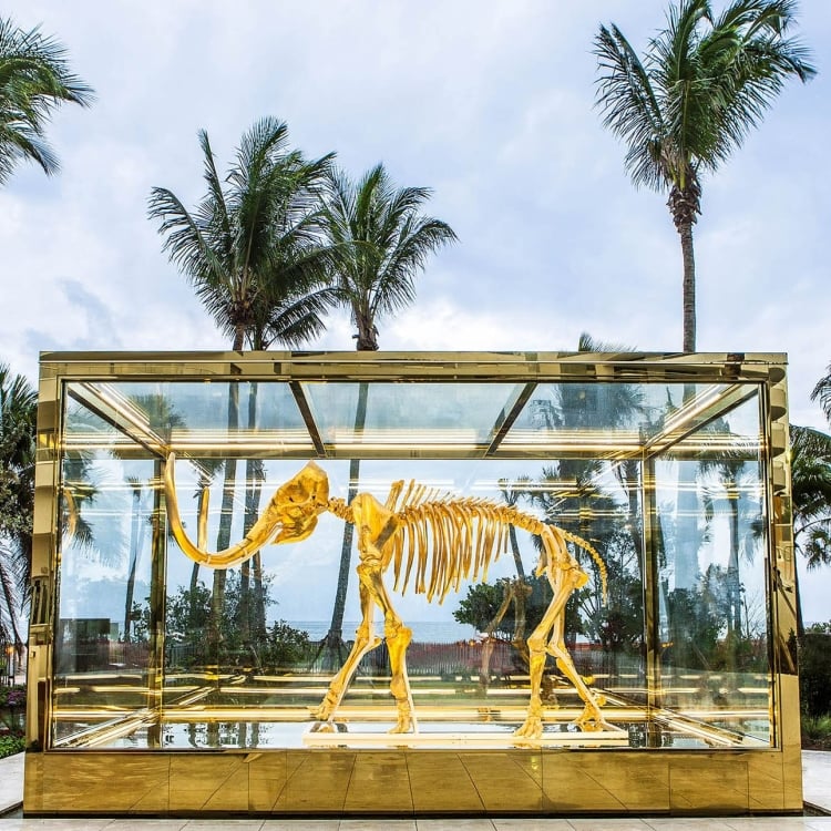 mammoth skeleton in large glass case