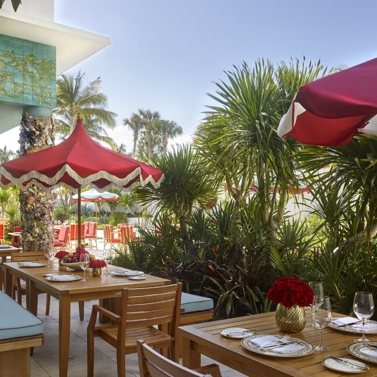 Tree of Life Sunbar outdoor seating