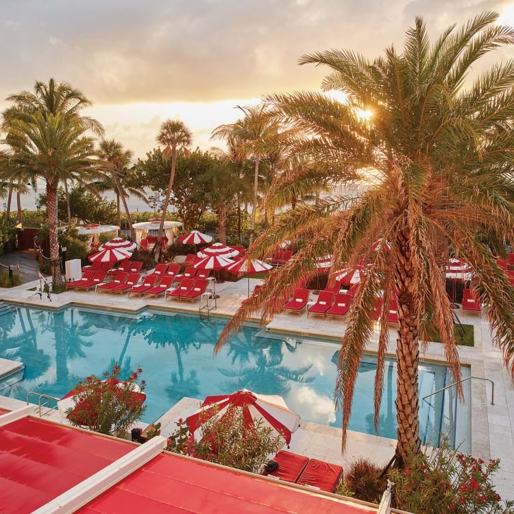 hotel pool surrounded by palm trees and umbrellas