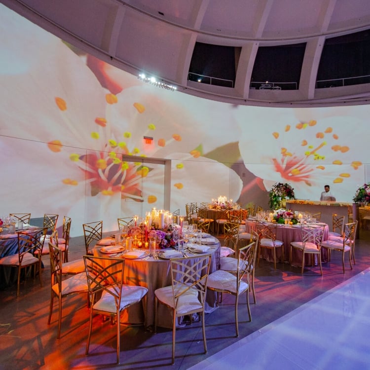 white flowers projected on interior walls at Faena Forum wedding venue