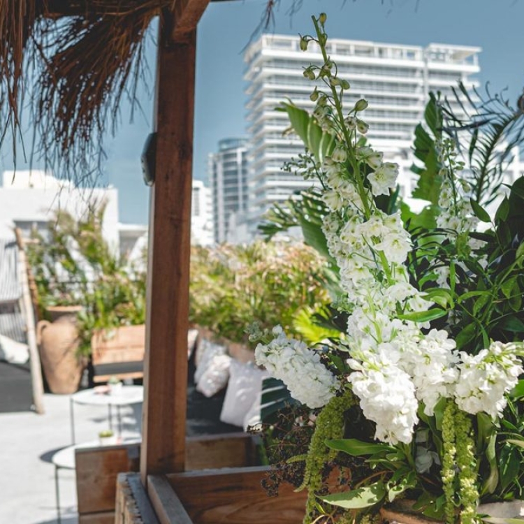 rooftop bar at Gitano