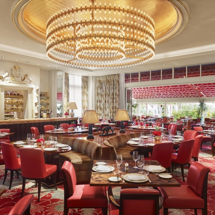 Chandelier and Dining Room