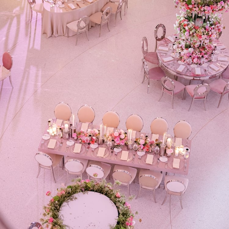 Aerial of Allison and Robert Zale's wedding reception venue