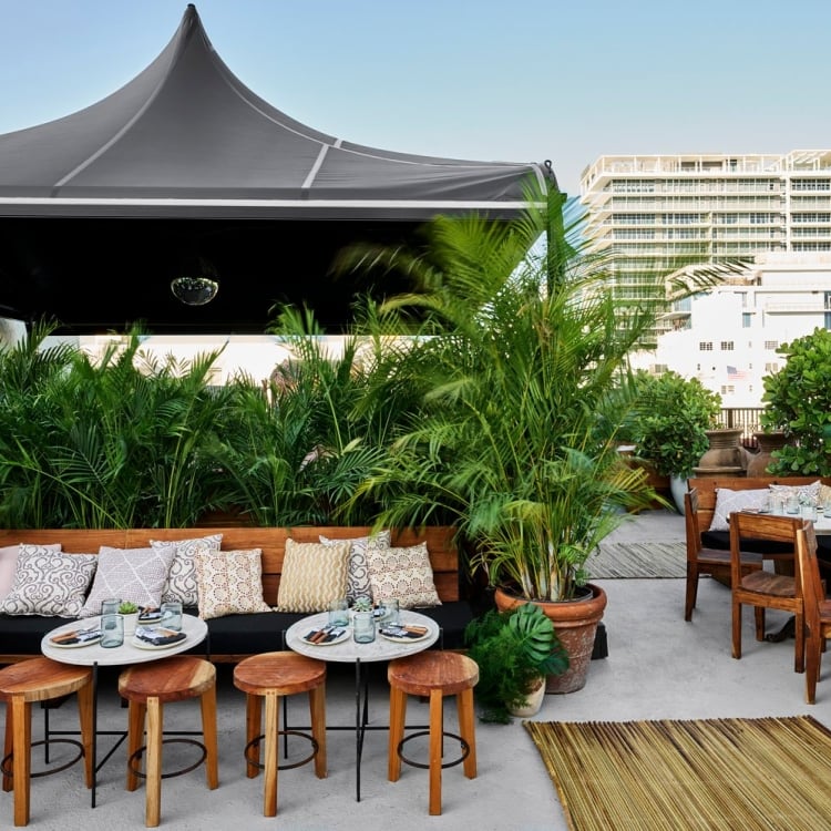 lounge chairs outside under a tent