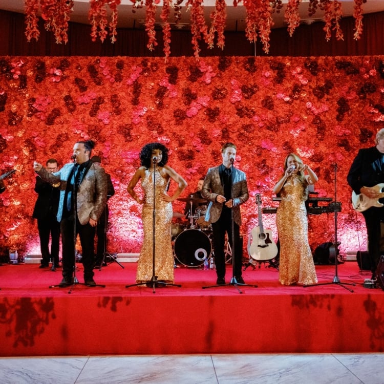Le Vine Poor Wedding Entertainment