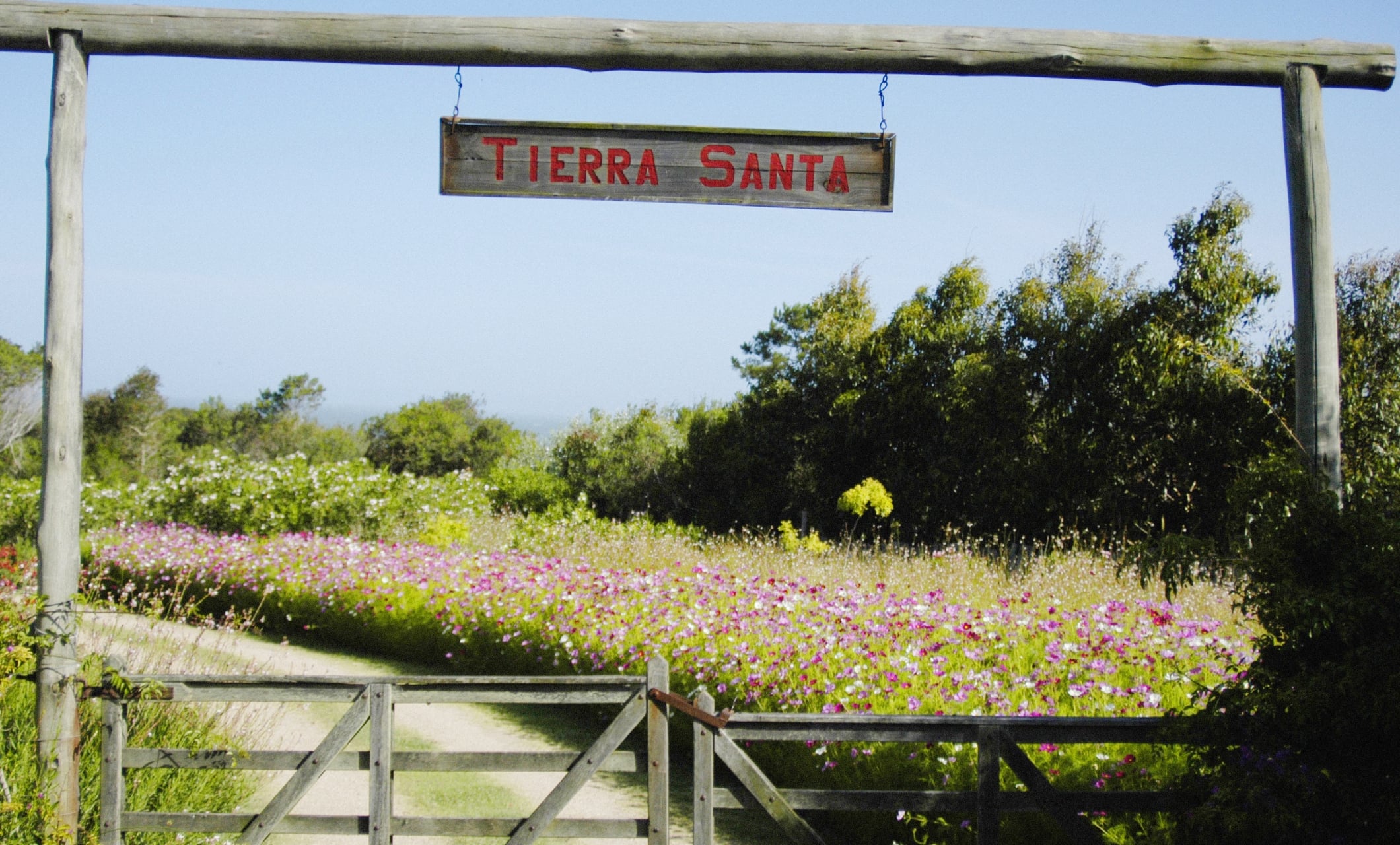 Tierra Santa _ alan_ Uruguay