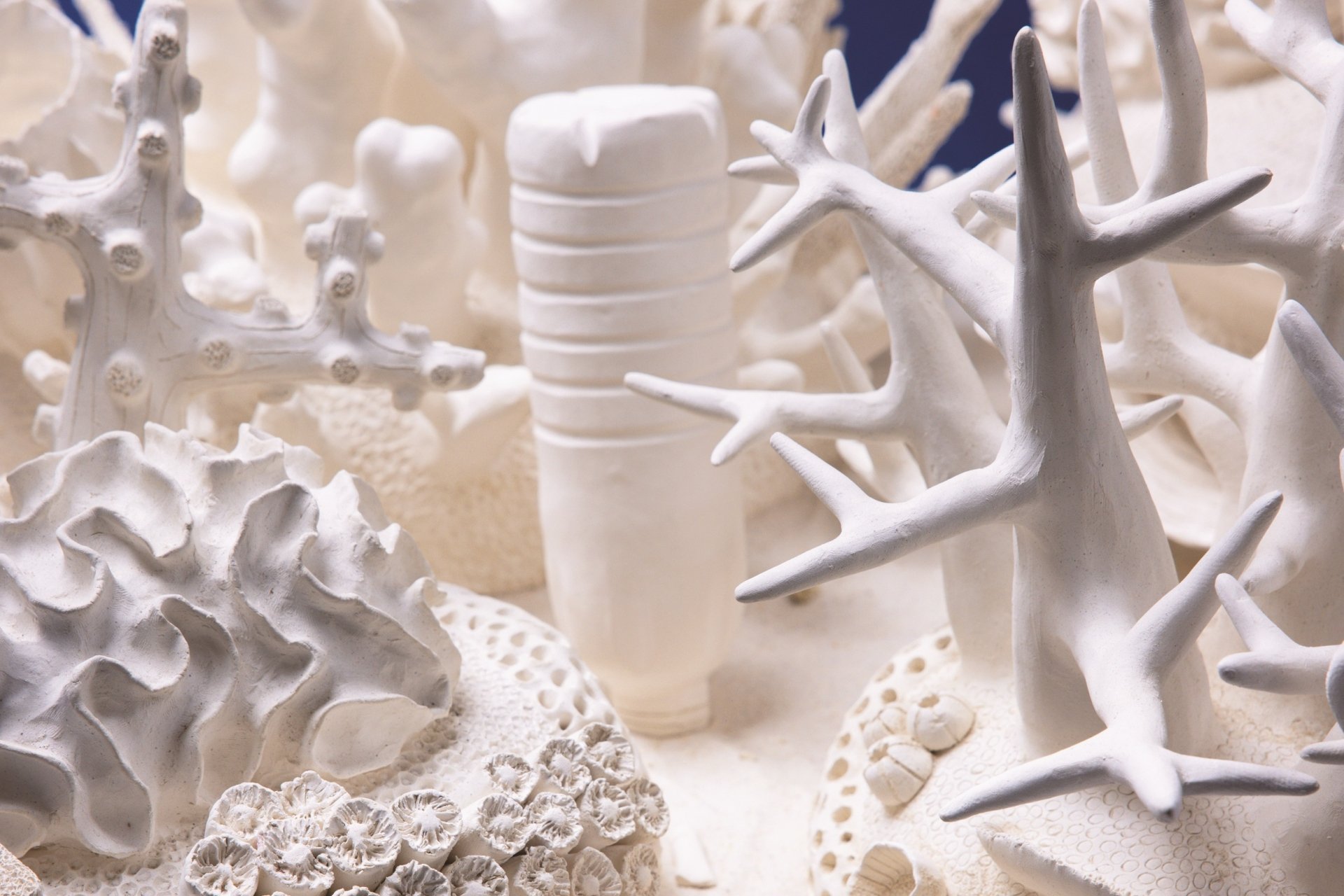 Beatriz Chachamovits Coral Reef Sculpture