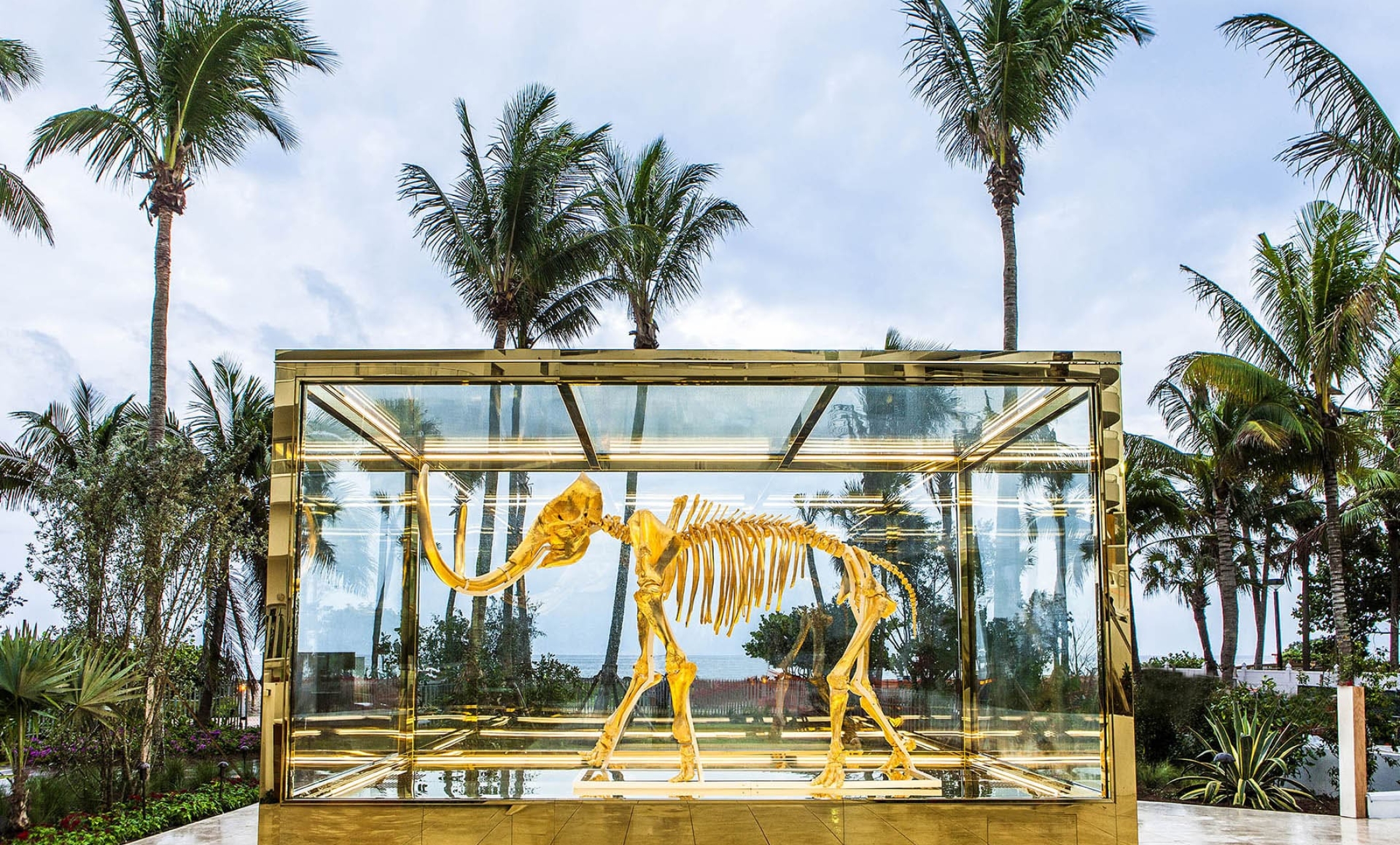 mammoth skeleton in large glass case
