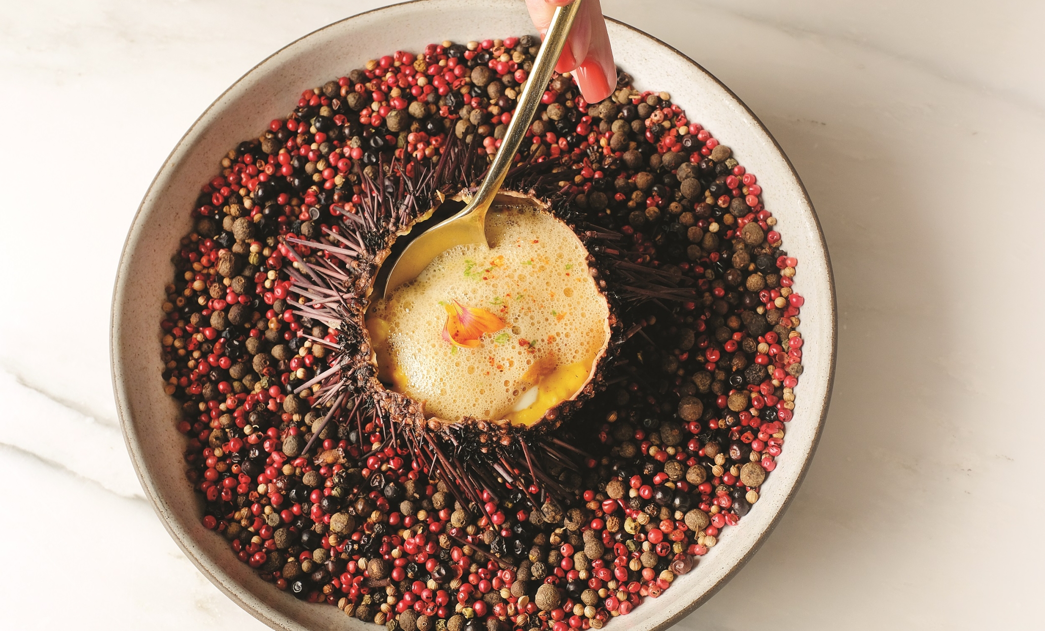 Pao Sea Urchin Dish