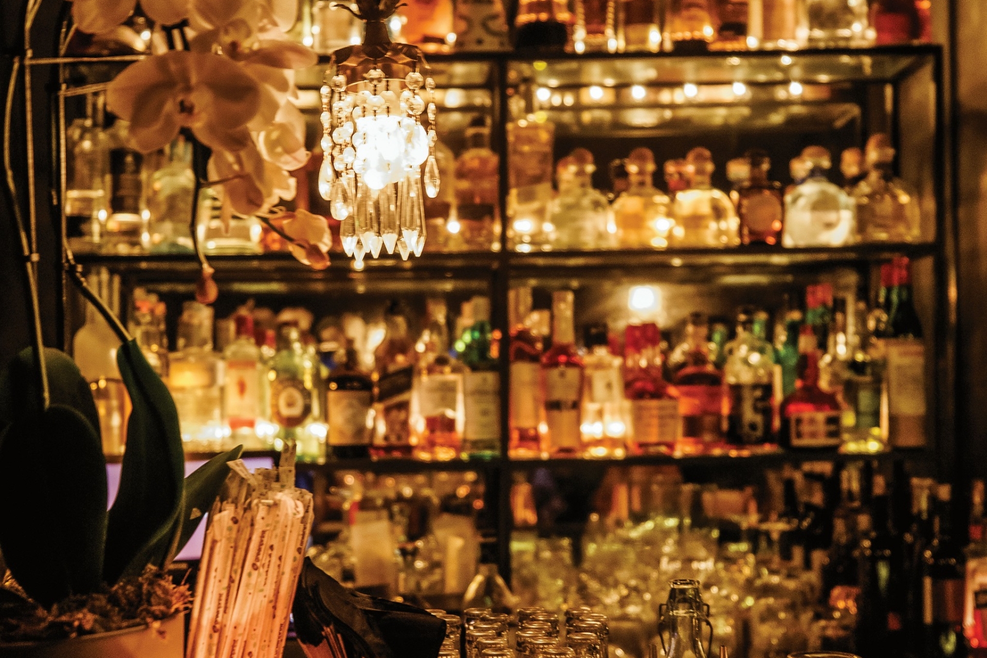 GITANO MIAMI