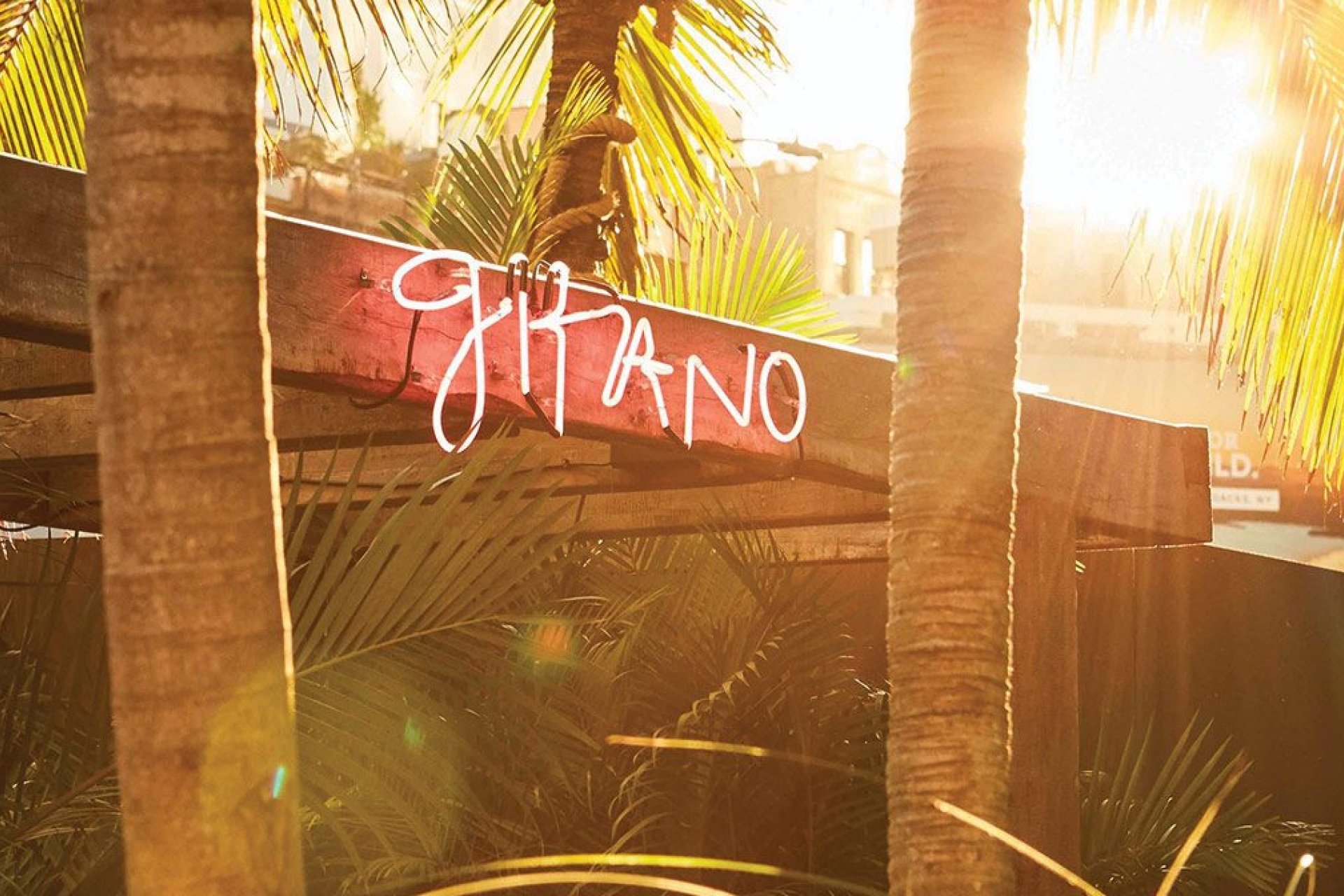 red neon light reads "Gitano" on bulkhead between two palm tree trunks