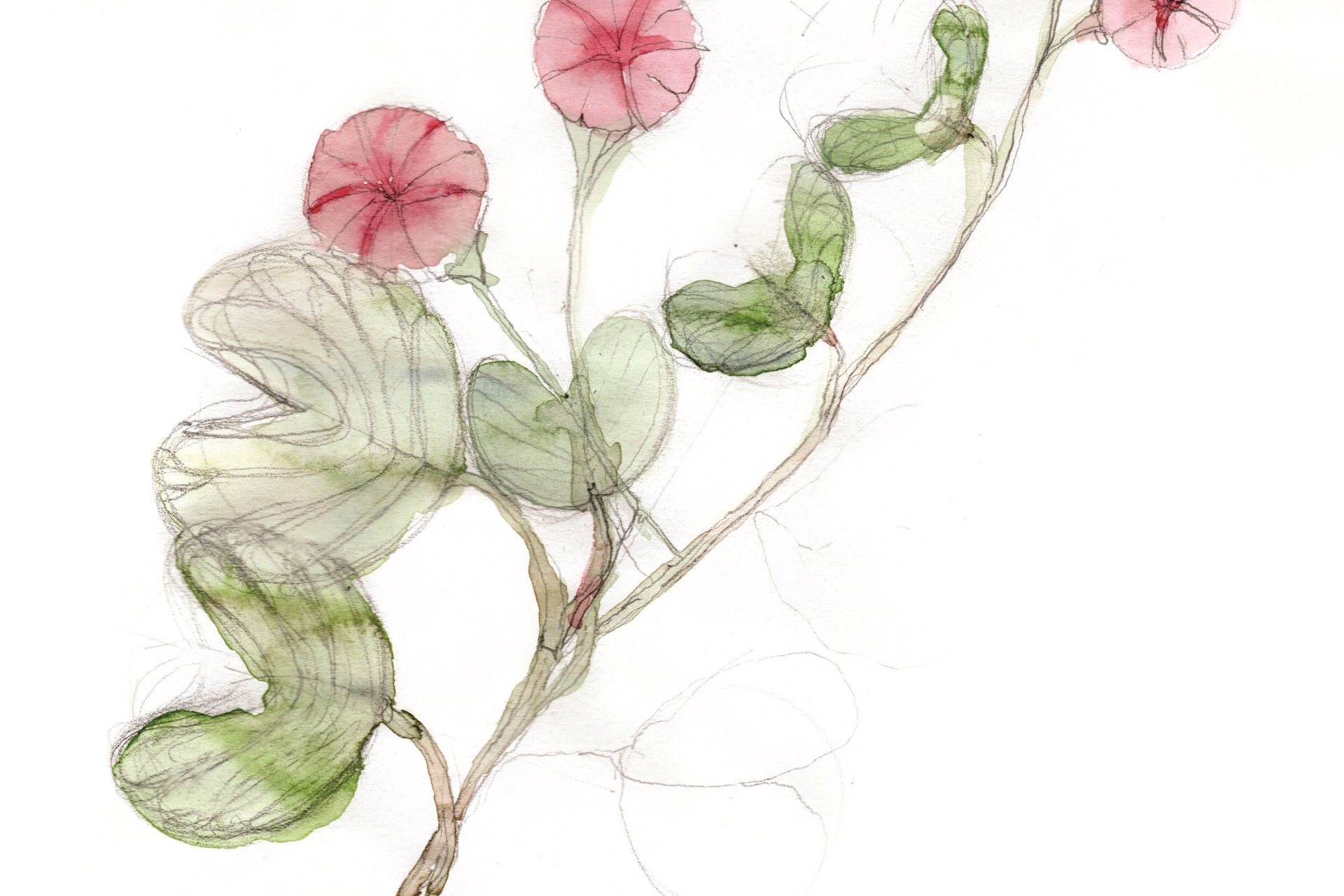 Faena Prize for the Arts Winner