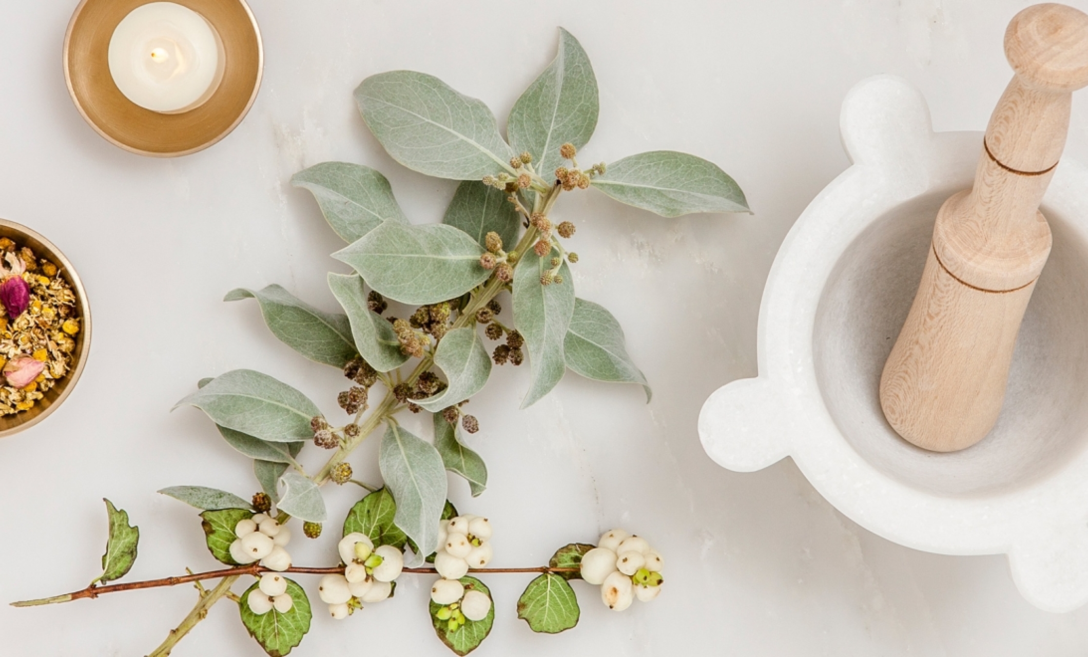 spa mortar and pestle with eucalyptus 