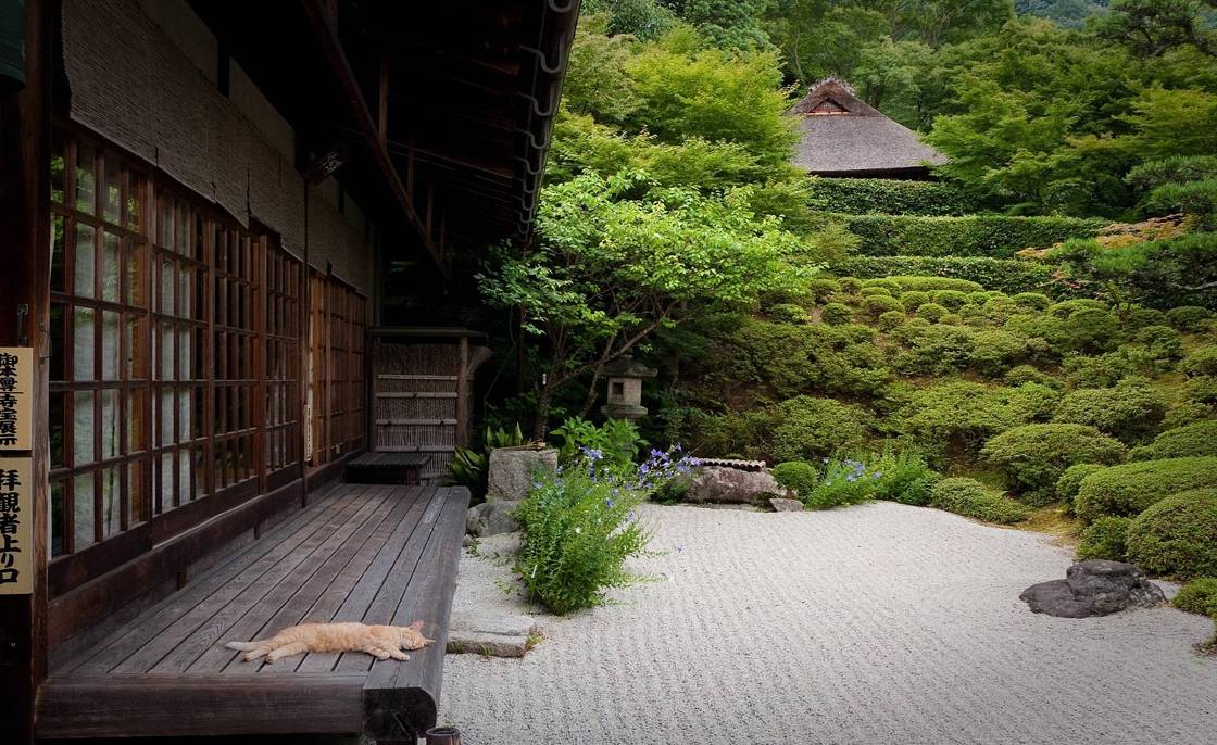 Zen Gardens: A brief history and instructions for making your own