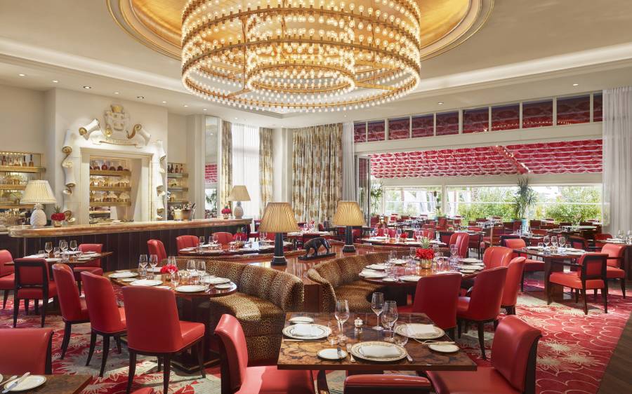 Chandelier and Dining Room