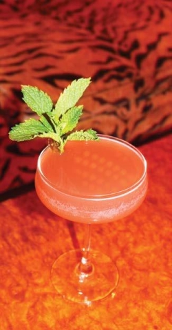 LR Cocktail