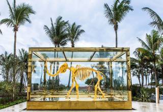 mammoth skeleton in large glass case