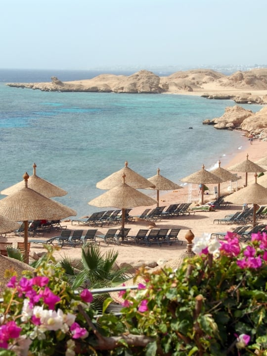 A beach area on The Red Sea