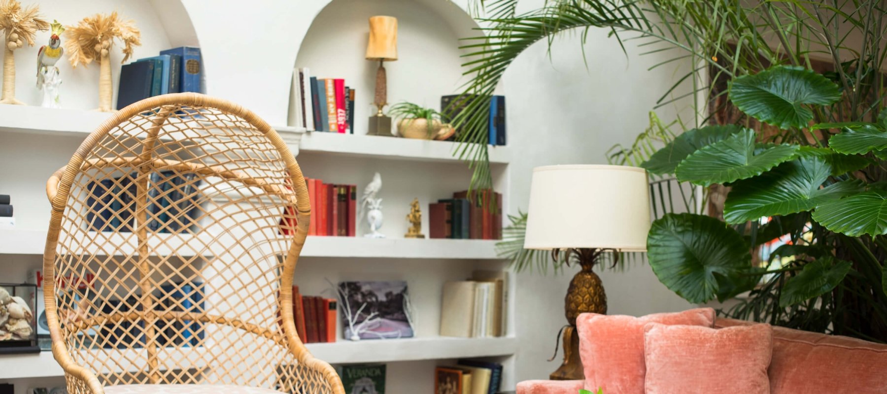wicker chair and pink couch sit in front of with book shelves and plants